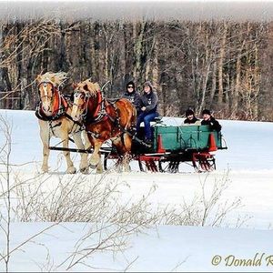 Meet your Posher, Molly